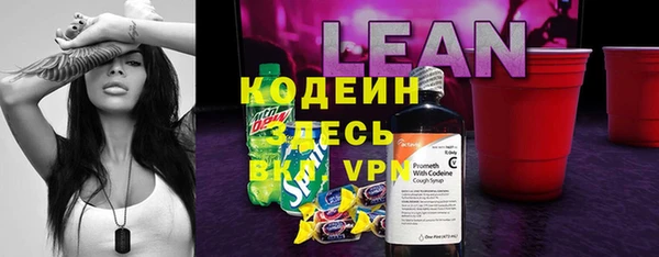 шишки Белоозёрский